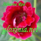  Silvana Red