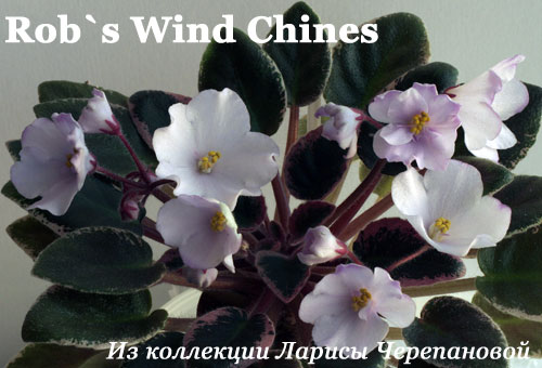  Rob's Wind Chines 