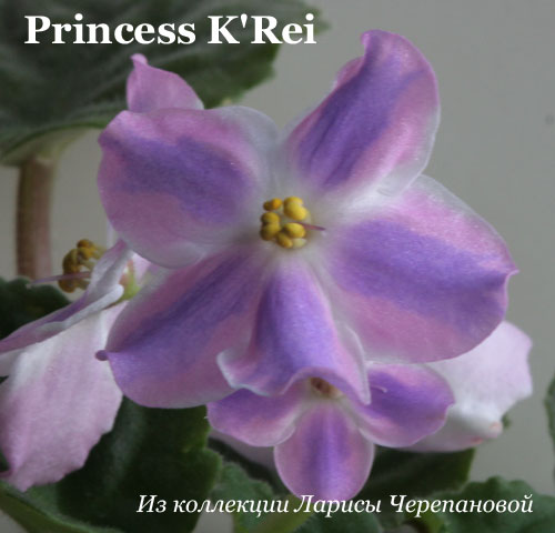  Princess K'Rei () 