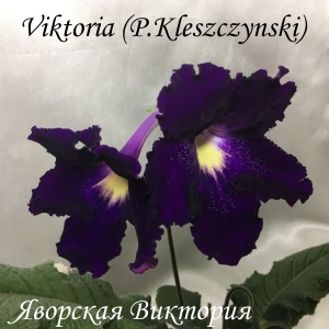  Viktoria 