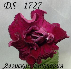  DS 1727 