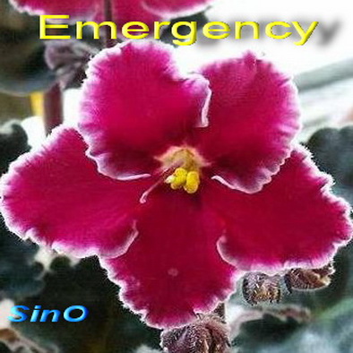  Emergency 