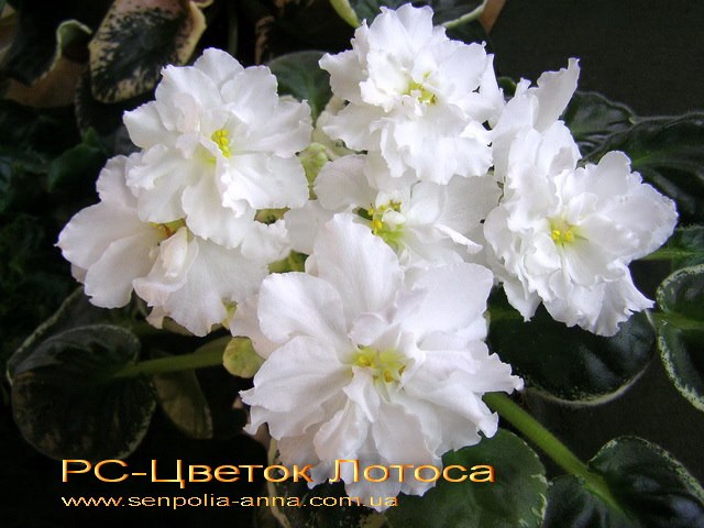 Как удалить и что это 81 Как удалить и что это 15