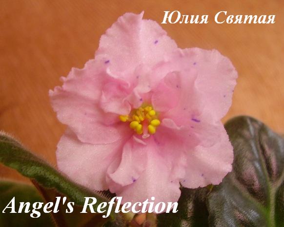  Angel's Reflection 