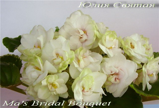  Ma's Bridal Bouquet 