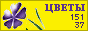 Комнатные растения и цветы