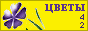 Комнатные растения и цветы