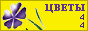 Комнатные растения и цветы