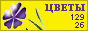 Комнатные растения и цветы