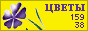 Комнатные растения и цветы