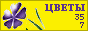 Комнатные растения и цветы