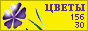 Комнатные растения и цветы
