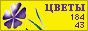Комнатные растения и цветы
