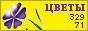 Комнатные растения и цветы