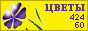 Комнатные растения и цветы