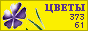Комнатные растения и цветы