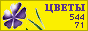 Комнатные растения и цветы