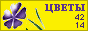 Комнатные растения и цветы
