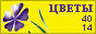 Комнатные растения и цветы