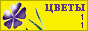 Комнатные растения и цветы