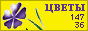 Комнатные растения и цветы