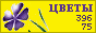 Комнатные растения и цветы