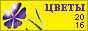 Комнатные растения и цветы