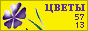 Комнатные растения и цветы