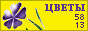 Комнатные растения и цветы