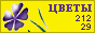 Комнатные растения и цветы