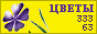 Комнатные растения и цветы