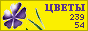 Комнатные растения и цветы