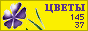 Комнатные растения и цветы