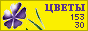 Комнатные растения и цветы