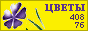 Комнатные растения и цветы