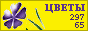 Комнатные растения и цветы