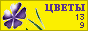 Комнатные растения и цветы