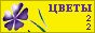 Комнатные растения и цветы