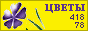 Комнатные растения и цветы