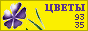 Комнатные растения и цветы