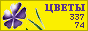 Комнатные растения и цветы