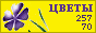 Комнатные растения и цветы