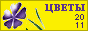 Комнатные растения и цветы