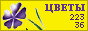 Комнатные растения и цветы