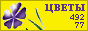 Комнатные растения и цветы