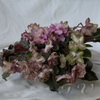 Фиалка Wild Irish Rose