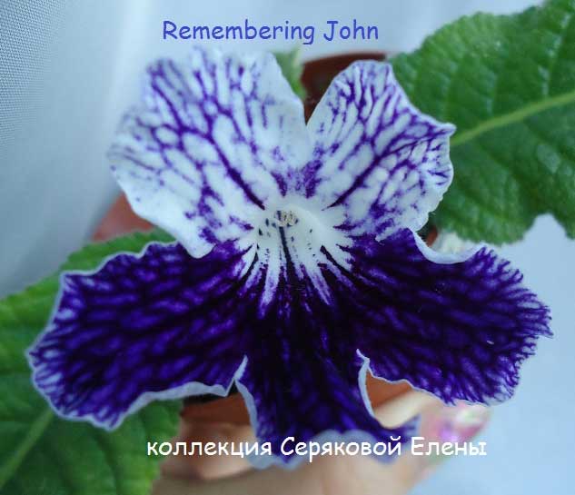  Remembering John 