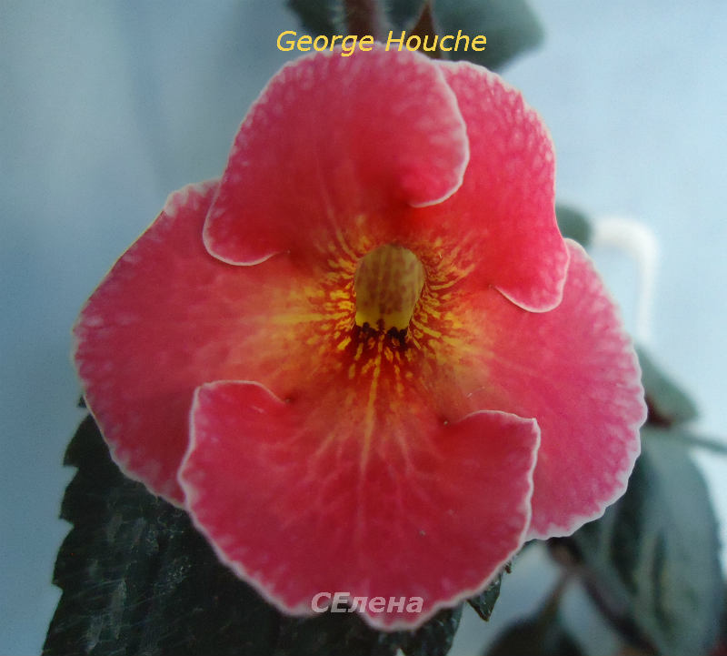  George Houche 