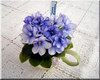 Фиалка СК-Танец Журавля