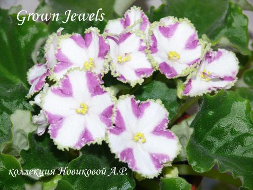  Grown Jewels 